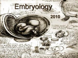 Embryology