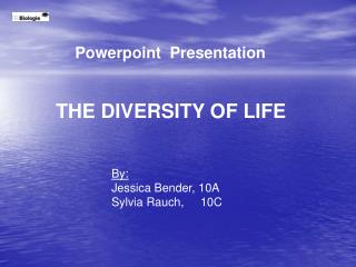 Powerpoint Presentation