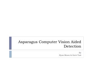 Asparagus Computer Vision Aided Detection