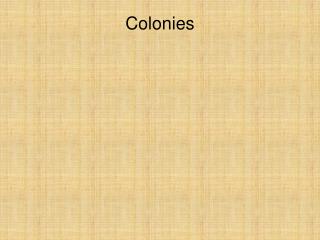 Colonies