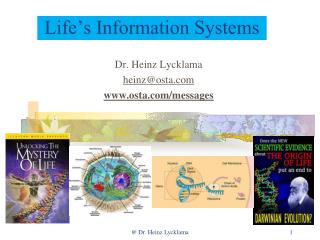Life’s Information Systems