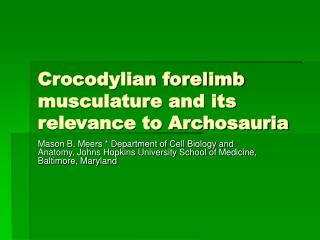 Crocodylian forelimb musculature and its relevance to Archosauria