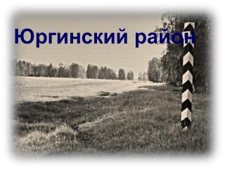 Юргинский район