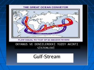 Mükemmel Ayarlanmış Bir Sistem: OKYANUS AKINTILARI ( Gulf-Stream)