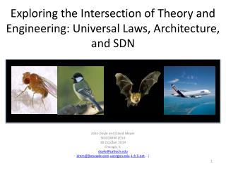 Exploring the Intersection of Theory and Engineering: Universal Laws, Architecture, and SDN