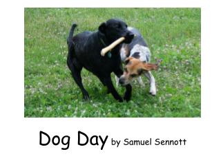 Dog Day by Samuel Sennott