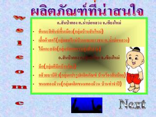 อ.สันป่าตอง ต.น้ำบ่อหลวง จ.เชียงใหม่ ต้นมะลิพันธ์พื้นเมือง(กลุ่มบ้านสันใหม่)