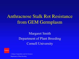 Anthracnose Stalk Rot Resistance from GEM Germplasm