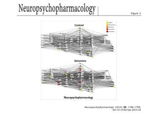 Neuropsychopharmacology (2014) 39 , 1786-1798; doi:10.1038/npp.2014.26