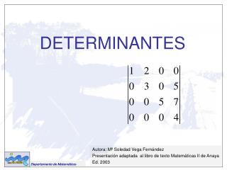 DETERMINANTES