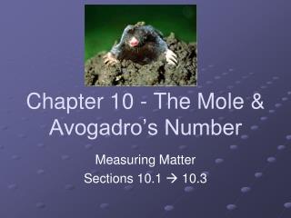 Chapter 10 - The Mole &amp; Avogadro’s Number