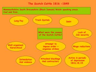 The Scotch Cattle 1816 -1849