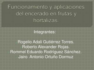 Funcionamiento y aplicaciones del encerado en frutas y hortalizas.