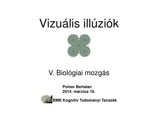 Vizuális illúziók