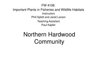 Northern Hardwood Community