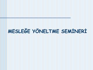 MESLEĞE YÖNELTME SEMİNERİ