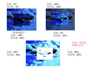 亮度： 0% 对比度： 0%