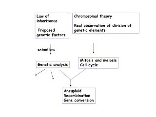 Law of inheritance Proposed genetic factors