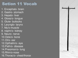 Setion 11 Vocab