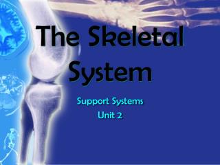 The Skeletal System