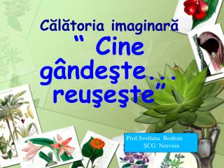 Călătoria imaginară “ Cine gândeşte... reuşeşte”