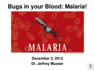 December 3, 2013 Dr. Jeffrey Musser