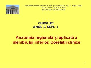 Anatomia regională şi aplicată a membrului inferior. Corelaţii clinice