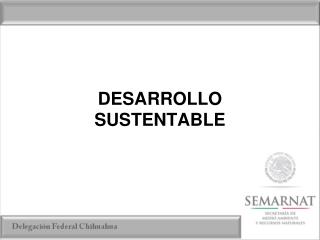 DESARROLLO SUSTENTABLE