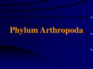 Phylum Arthropoda