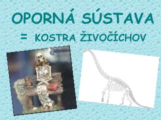 OPORNÁ SÚSTAVA = KOSTRA ŽIVOČÍCHOV