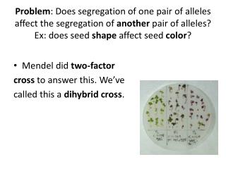 Mendel did two-factor cross to answer this. We’ve called this a dihybrid cross .