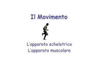 Il Movimento