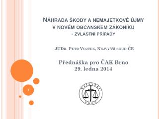 Přednáška pro ČAK Brno 29. ledna 2014
