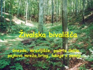 Živalska bivališča