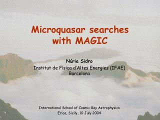 Microquasar searches with MAGIC