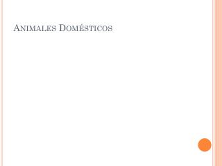 Animales Domésticos