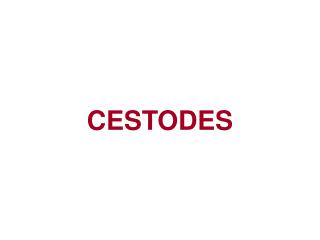 CESTODES