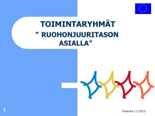 TOIMINTARYHMÄT ” RUOHONJUURITASON ASIALLA”