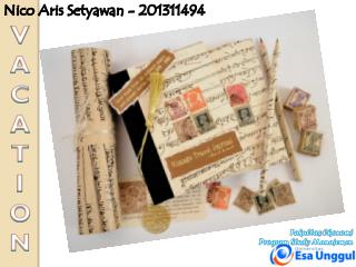 Nico Aris Setyawan - 201311494