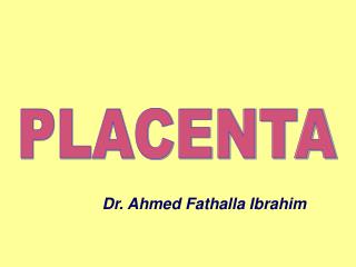 PLACENTA