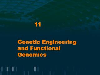 Genetic Engineering and Functional Genomics