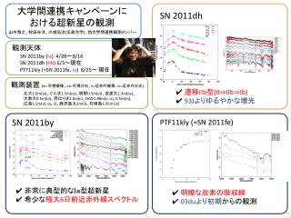 大学間連携キャンペーンに おける超新星の観測