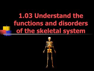 1.03 Understand the functions and disorders of the skeletal system