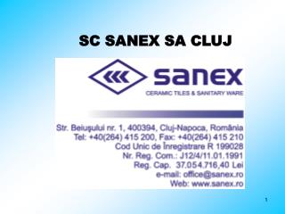 SC SANEX SA CLUJ