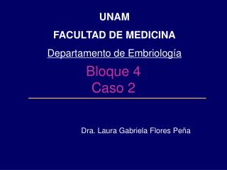 Bloque 4 Caso 2