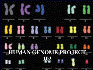 HUMAN GENOME PROJECT 102