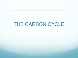 THE CARBON CYCLE