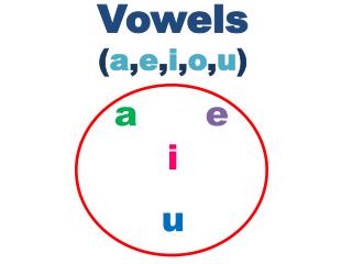 Vowels ( a , e , i , o , u )