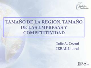 TAMAÑO DE LA REGION, TAMAÑO DE LAS EMPRESAS Y COMPETITIVIDAD