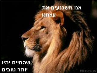 אנו משכנעים את עצמנו